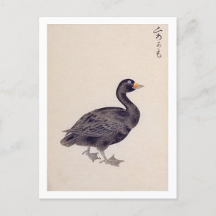 Carte Postale Illustration vintage : scooter commun