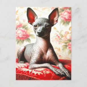Carte Postale Illustration vintage Xoloitzcuintle