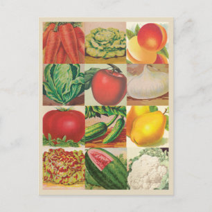 Carte Postale Illustrations de fruits et légumes vintages