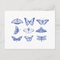 Illustrations de papillon vintage en bleu