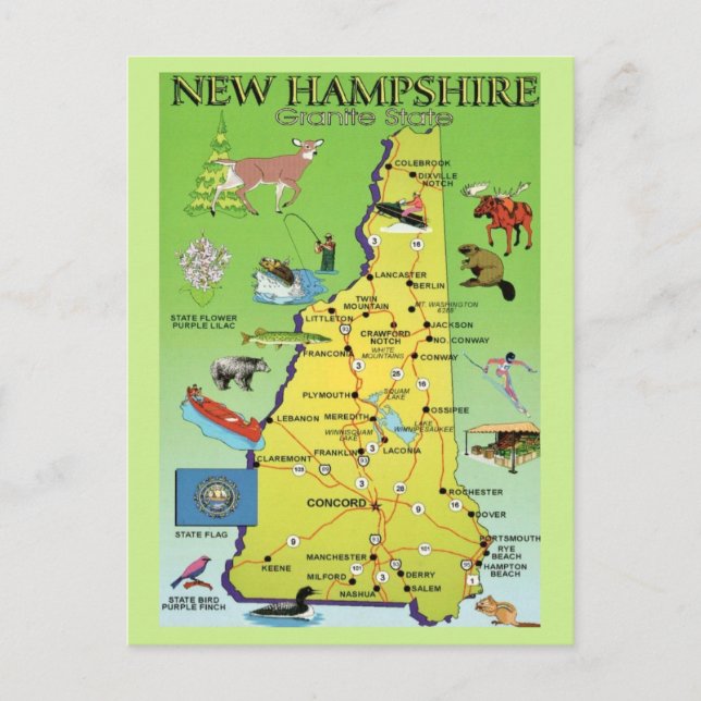 Carte postale illustrée du New Hampshire (Devant)