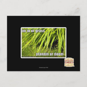 Carte Postale im dans l'herbe