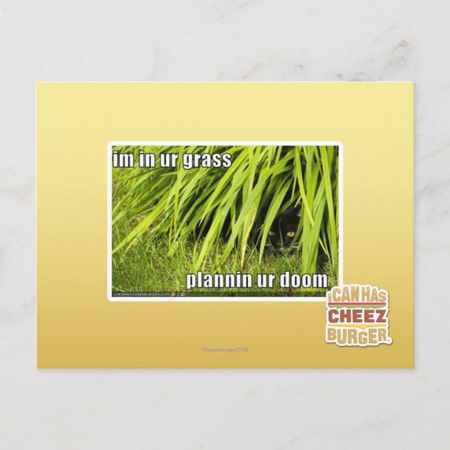 Carte Postale im dans l'herbe (Devant)