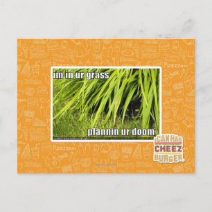 Carte Postale im in ur grass