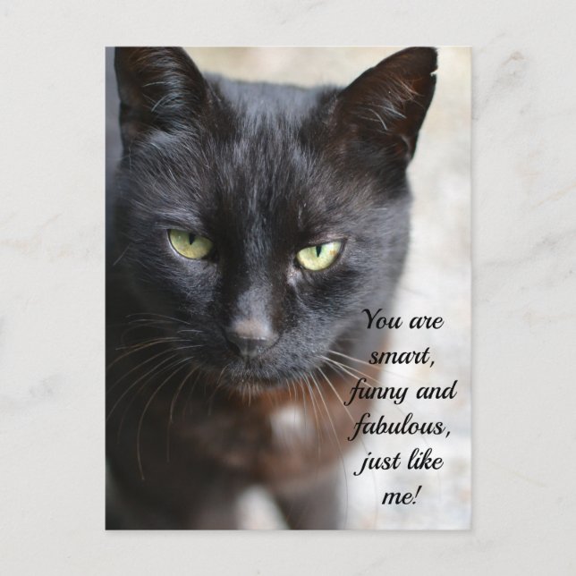 Carte Postale Image Amoureux des chats noire avec citation motiv (Devant)