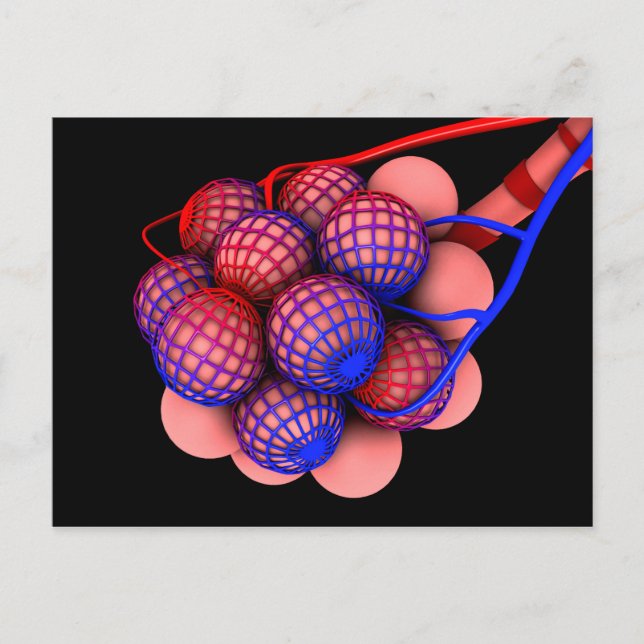 Carte Postale Image Conceptuelle D'Alveoli 1 (Devant)