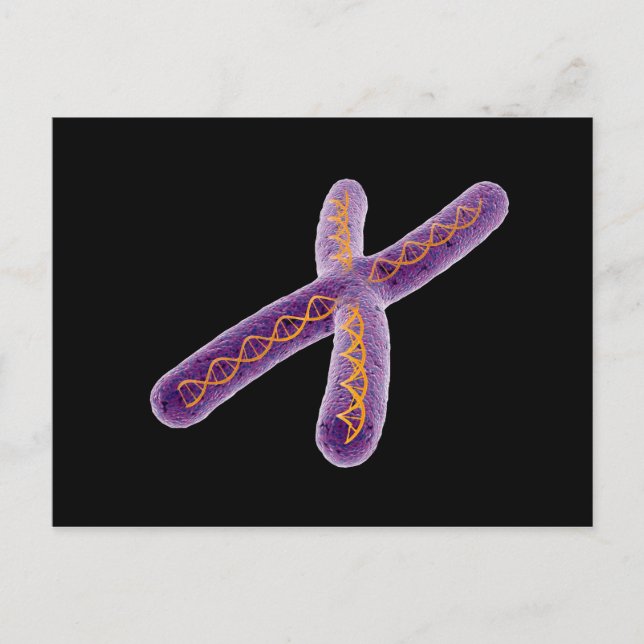 Carte Postale Image Conceptuelle De Chromosome 2 (Devant)