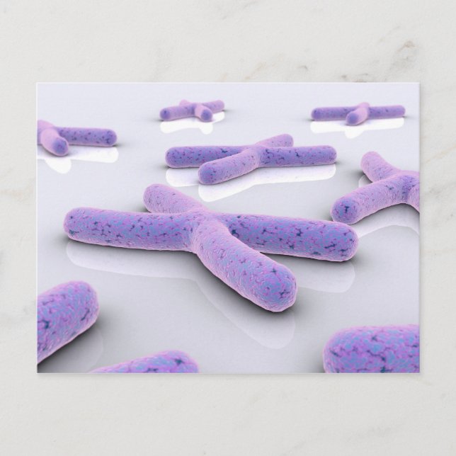 Carte Postale Image Conceptuelle De Chromosome 4 (Devant)