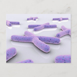 Carte Postale Image Conceptuelle De Chromosome 4