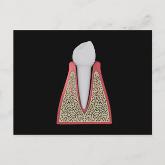 Carte Postale Image Conceptuelle De La Dent Humaine 1