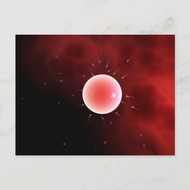 Carte Postale Image Conceptuelle De La Fertilisation Commune (Devant)