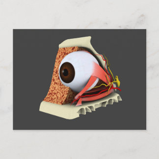 Carte Postale Image Conceptuelle De L'Anatomie Des Yeux Humains