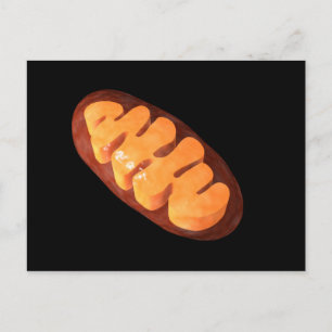 Carte Postale Image Conceptuelle De Mitochondria 1