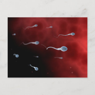 Carte Postale Image Conceptuelle De Sperm À L'Intérieur Du Tube