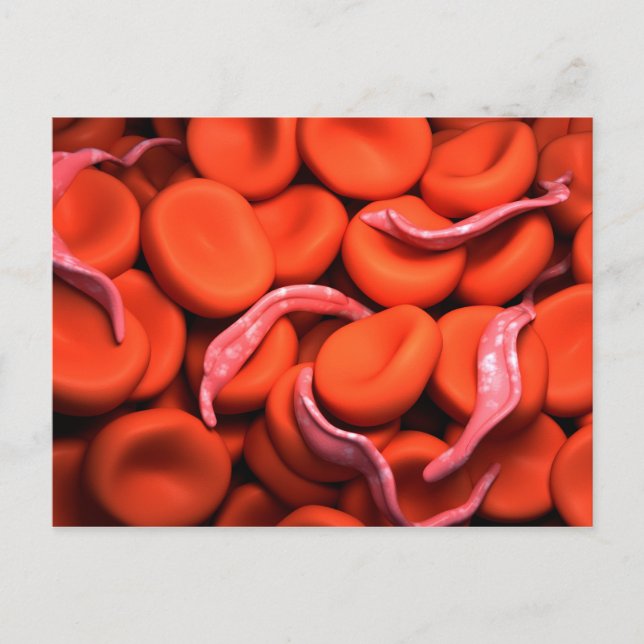 Carte Postale Image Conceptuelle De Trypanosoma 3 (Devant)