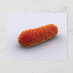 Carte Postale Image Conceptuelle Des Bactéries 4