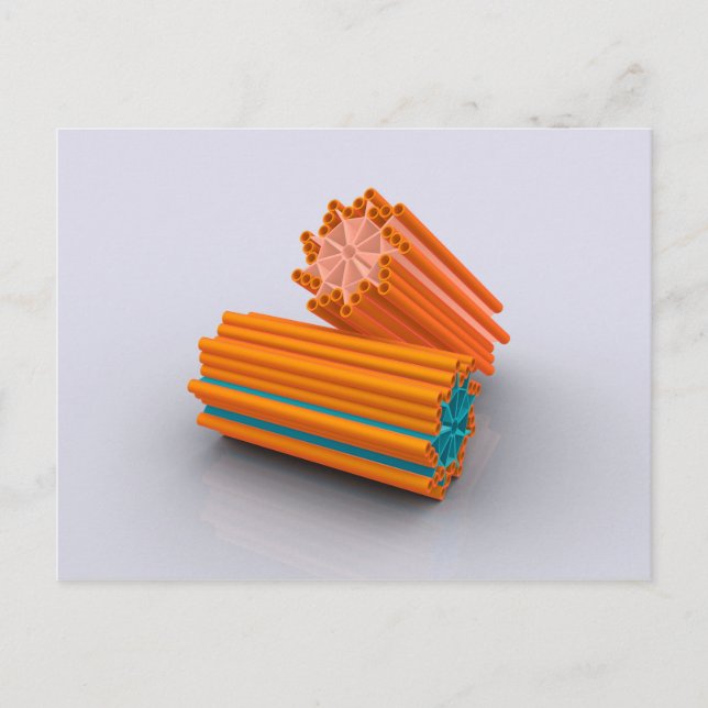 Carte Postale Image Conceptuelle Des Centrioles 2 (Devant)