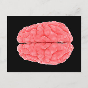 Carte Postale Image Conceptuelle Du Cerveau Humain 10