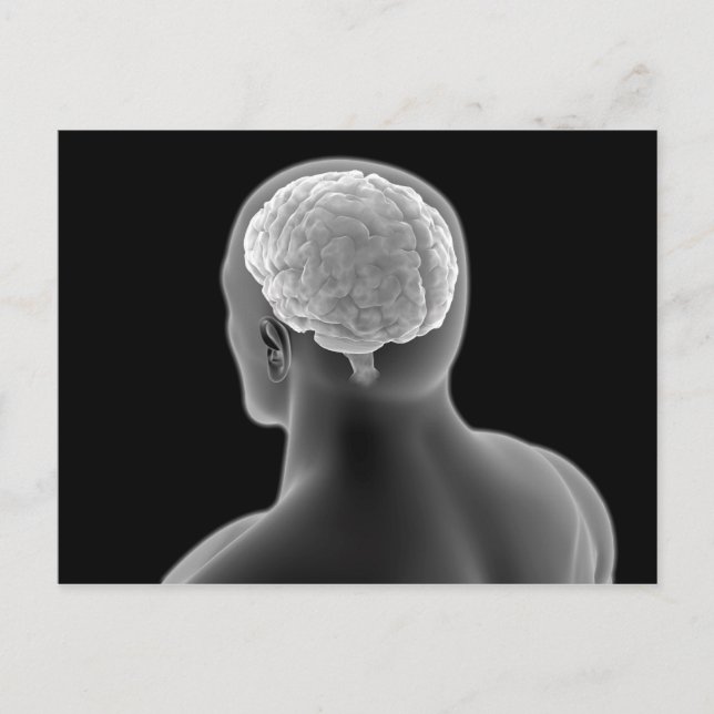 Carte Postale Image Conceptuelle Du Cerveau Humain 2 (Devant)