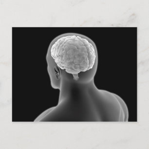 Carte Postale Image Conceptuelle Du Cerveau Humain 2