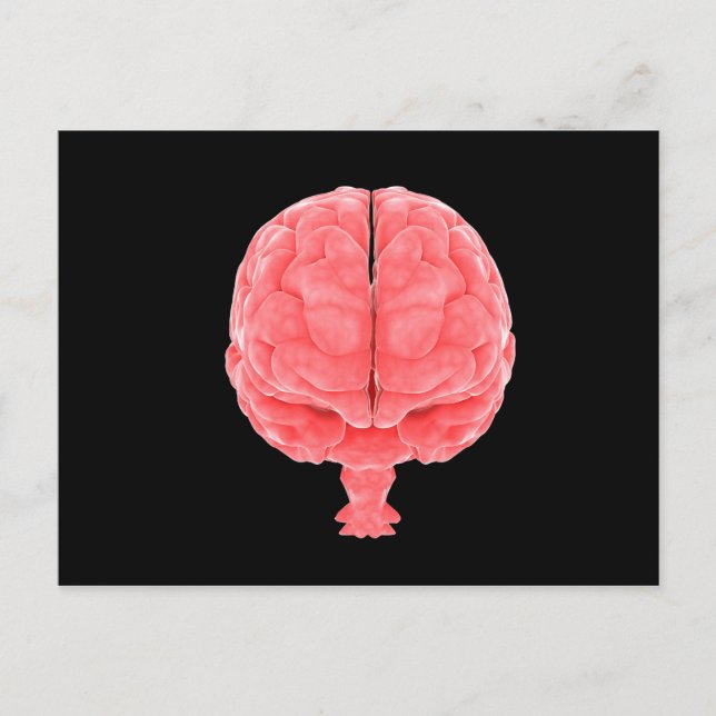 Carte Postale Image Conceptuelle Du Cerveau Humain 3 (Devant)