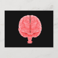 Image Conceptuelle Du Cerveau Humain 3