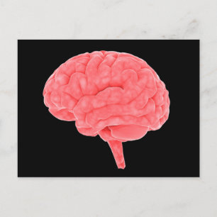 Carte Postale Image Conceptuelle Du Cerveau Humain 4