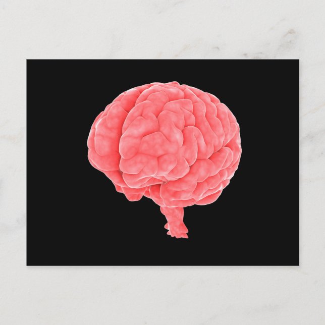 Carte Postale Image Conceptuelle Du Cerveau Humain 5 (Devant)