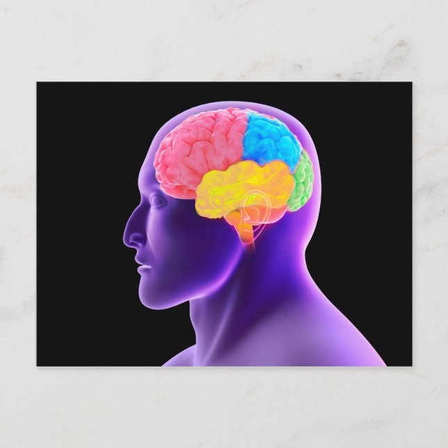 Carte Postale Image Conceptuelle Du Cerveau Humain 7 (Devant)