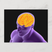 Image Conceptuelle Du Cerveau Humain 8