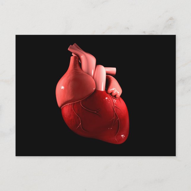Carte Postale Image Conceptuelle Du Coeur Humain 2 (Devant)