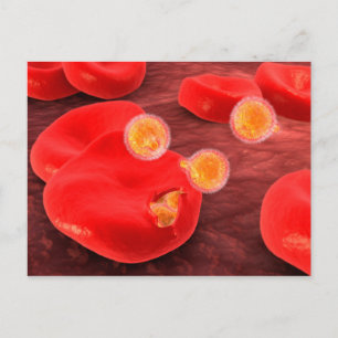 Carte Postale Image Conceptuelle Du Paramecium 2