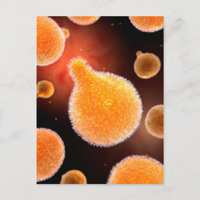 Carte Postale Image Conceptuelle Du Plasmodium À L'Origine Du Pa (Devant)