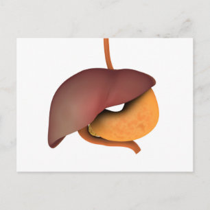 Carte Postale Image Conceptuelle Du Système Digestif Humain 3