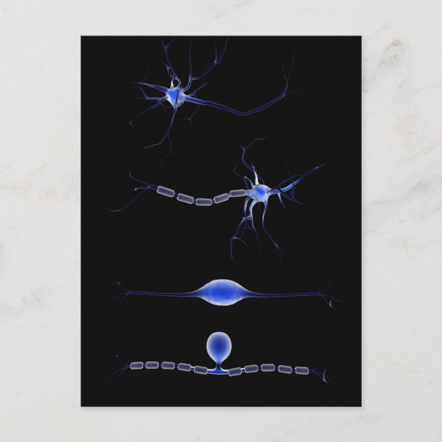 Carte Postale Image Conceptuelle D'Un Neuron 1 (Devant)
