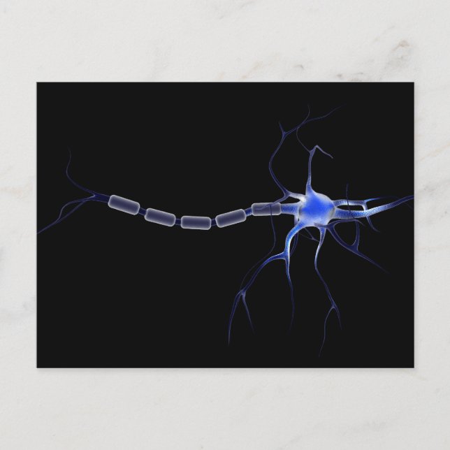 Carte Postale Image Conceptuelle D'Un Neuron 2 (Devant)