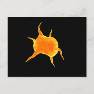 Carte Postale Image Conceptuelle D'Un Plateau