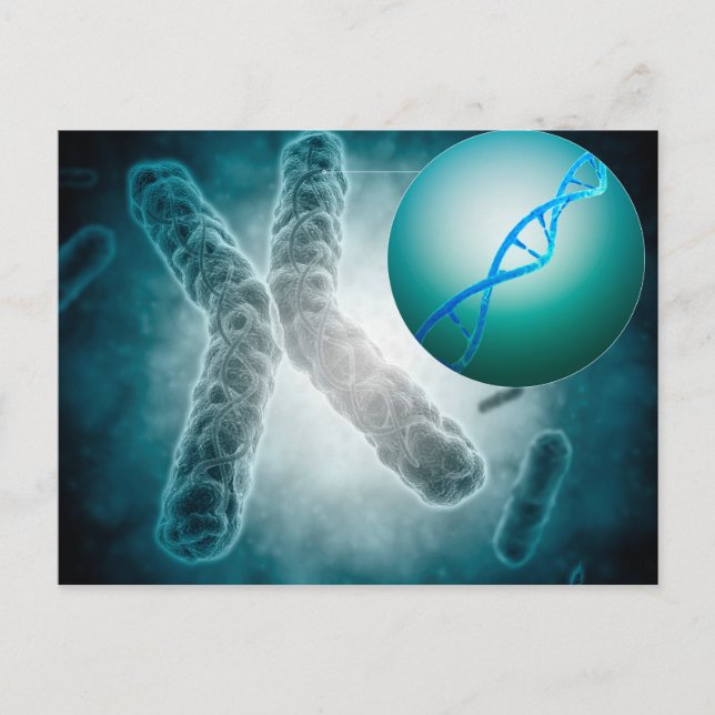 Carte Postale Image Conceptuelle D'Une Telomère Montrant L'ADN (Devant)