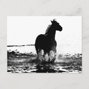 Carte Postale Image d'art pop moderne en noir et blanc de cheval
