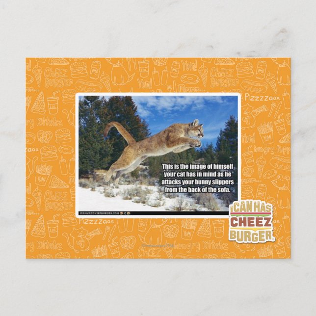 Carte Postale Image de chat (Devant)