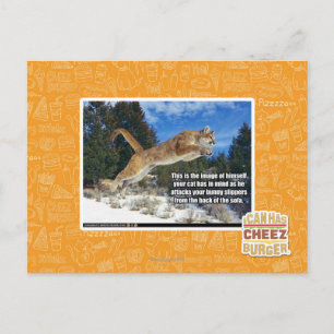 Carte Postale Image de chat