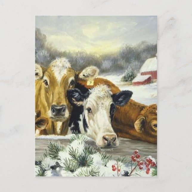 Carte Postale Image de vache vintage (Devant)
