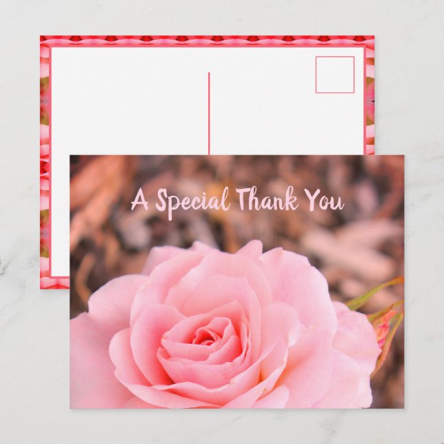 Carte Postale Image du Rose floral (Devant / Derrière)