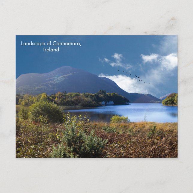 Carte Postale Image irlandaise de Postcard (Devant)