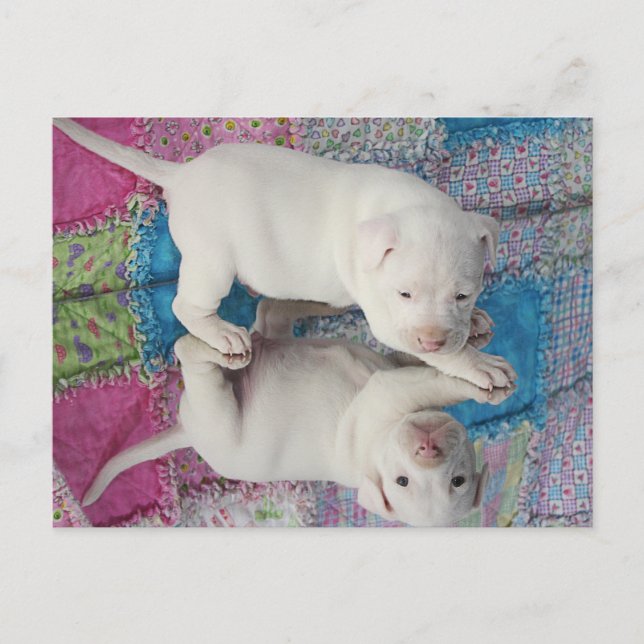 Carte Postale Image miroir (Devant)