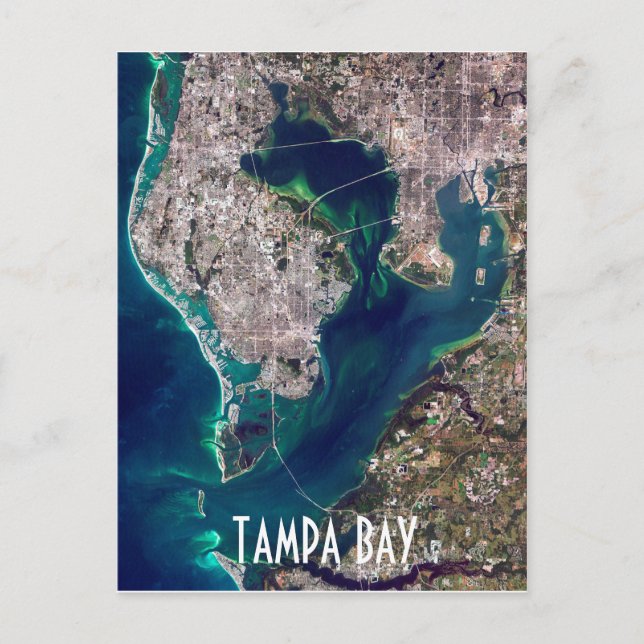 Carte Postale Image satellite de Tampa Bay Floride (Devant)