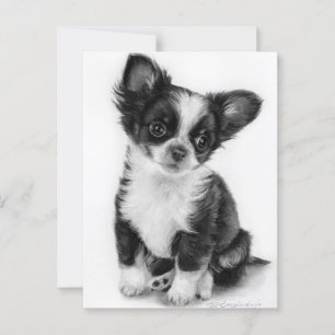 Carte Postale Image tirée à la main Chihuahua Chiuppy