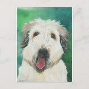Carte Postale Images de chiens de Soft Wheaton Terrier