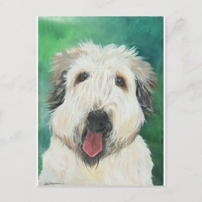 Carte Postale Images de chiens de Soft Wheaton Terrier (Devant)