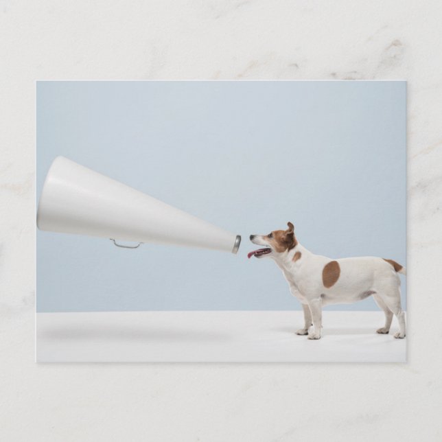 Carte Postale Images Getty | Chien parlant (Devant)